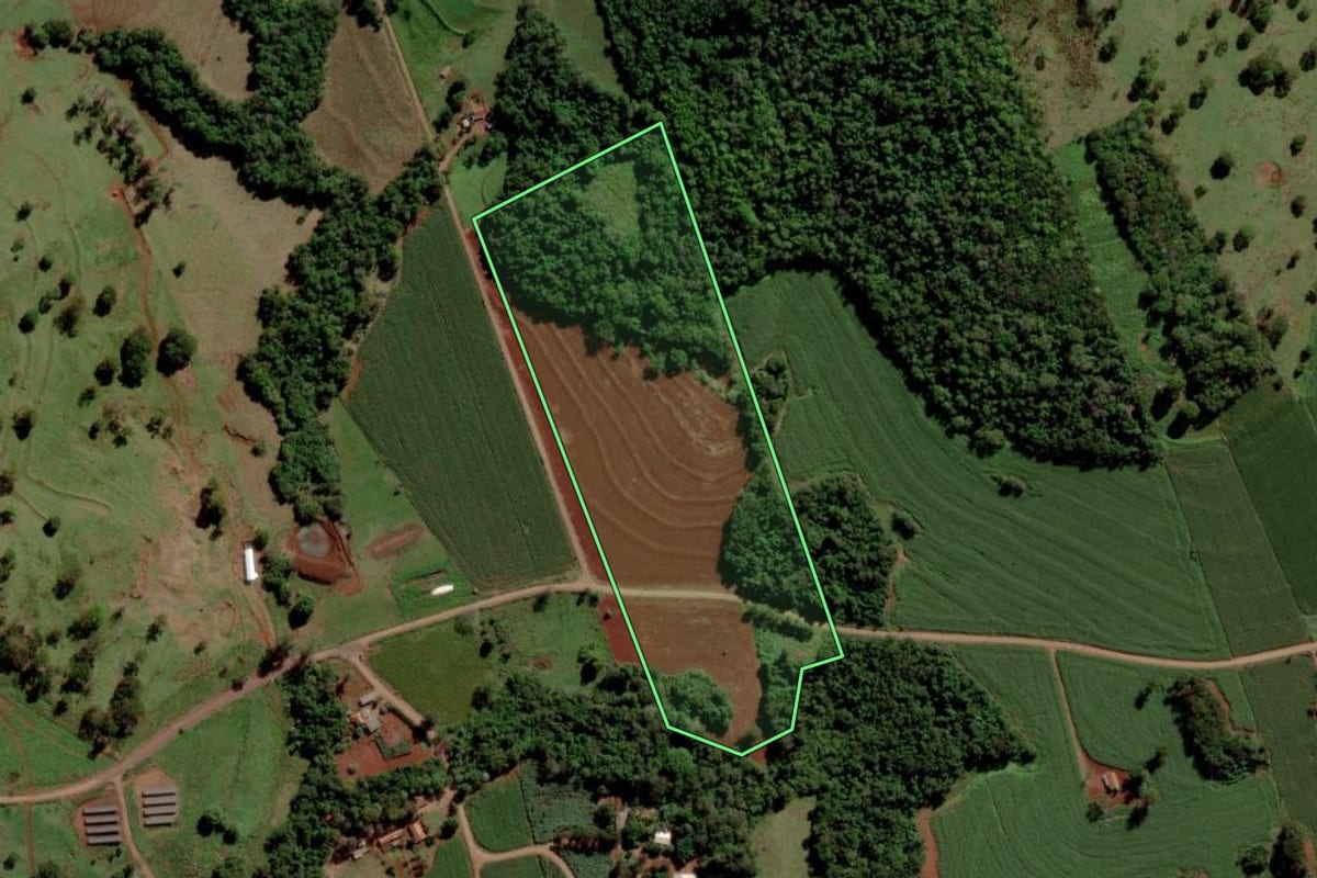 Imagem de satélite do imóvel rural em São José das Palmeiras (PR), com o contorno declarado no CAR desenhado por cima.