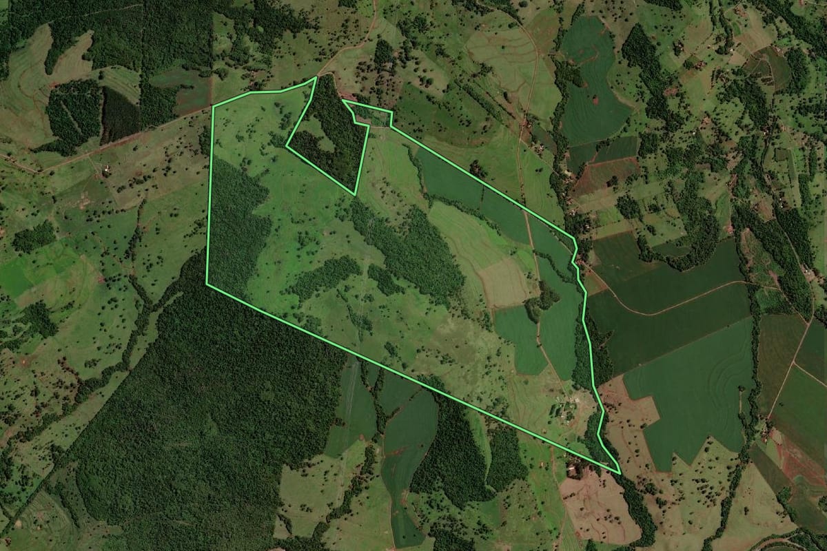 Imagem de satélite do imóvel rural em São José das Palmeiras (PR), com o contorno declarado no CAR desenhado por cima.