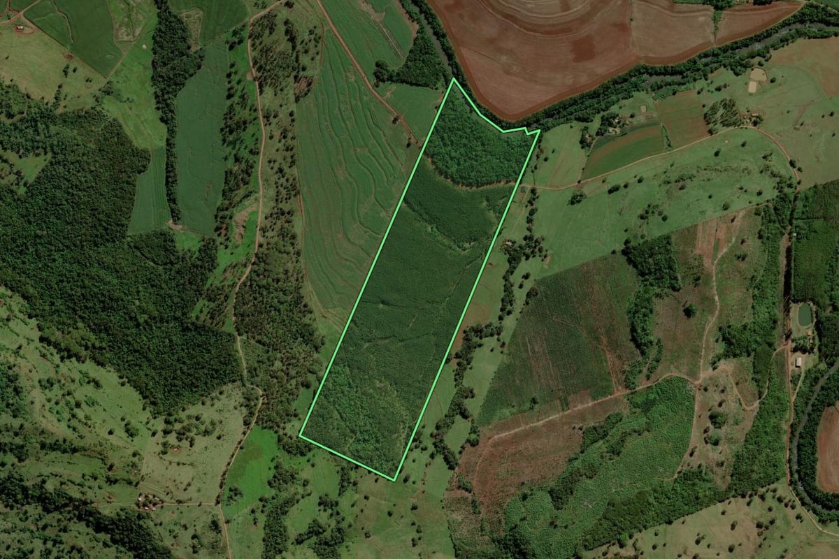 Imagem de satélite do imóvel rural em São José das Palmeiras (PR), com o contorno declarado no CAR desenhado por cima.