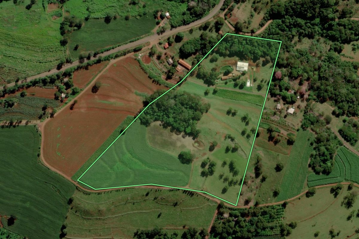 Imagem de satélite do imóvel rural em São José das Palmeiras (PR), com o contorno declarado no CAR desenhado por cima.