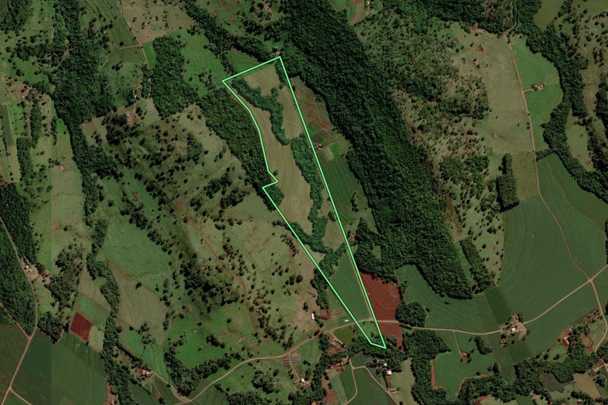 Imagem de satélite do imóvel rural em São José das Palmeiras (PR), com o contorno declarado no CAR desenhado por cima.