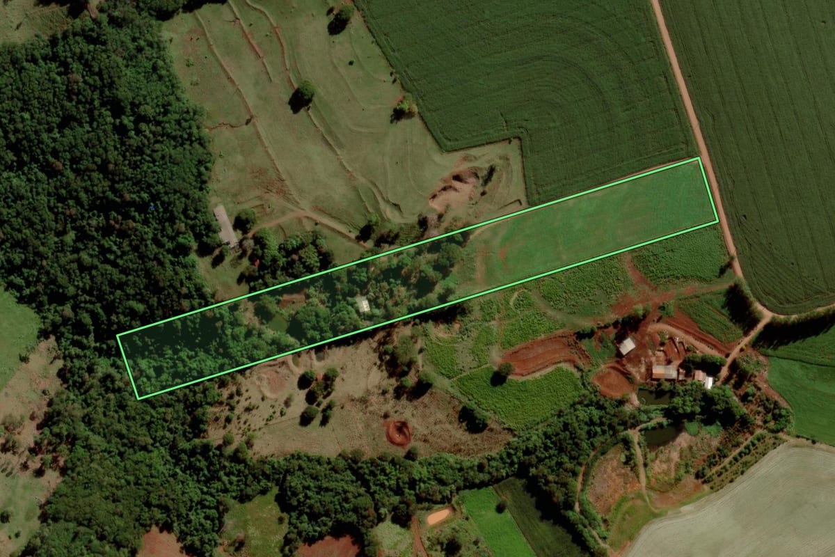 Imagem de satélite do imóvel rural em São José das Palmeiras (PR), com o contorno declarado no CAR desenhado por cima.