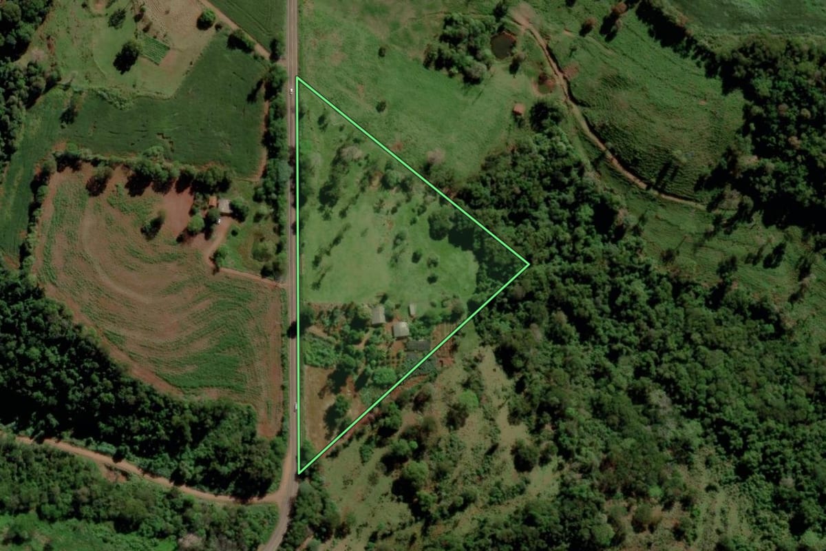 Imagem de satélite do imóvel rural em São José das Palmeiras (PR), com o contorno declarado no CAR desenhado por cima.