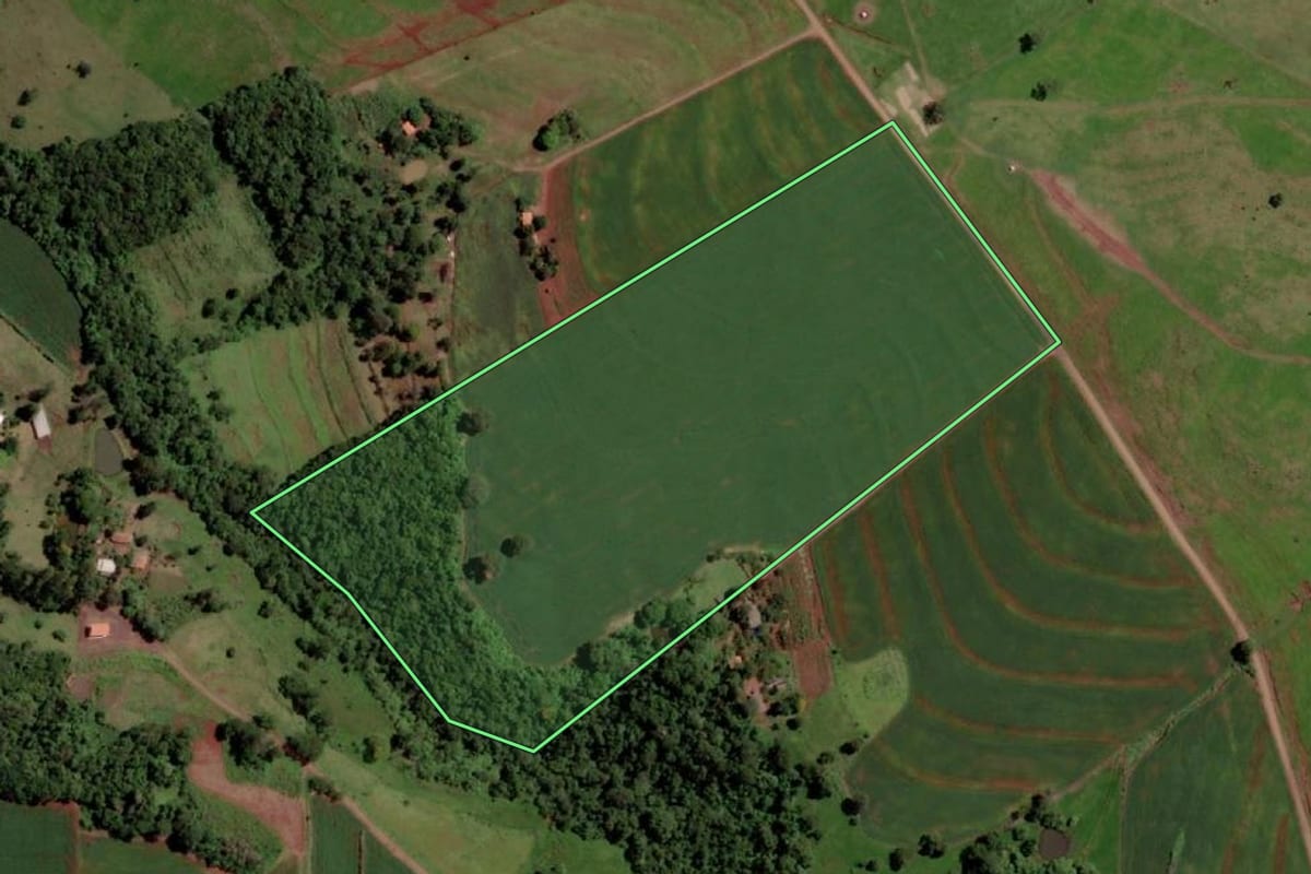Imagem de satélite do imóvel rural em São José das Palmeiras (PR), com o contorno declarado no CAR desenhado por cima.