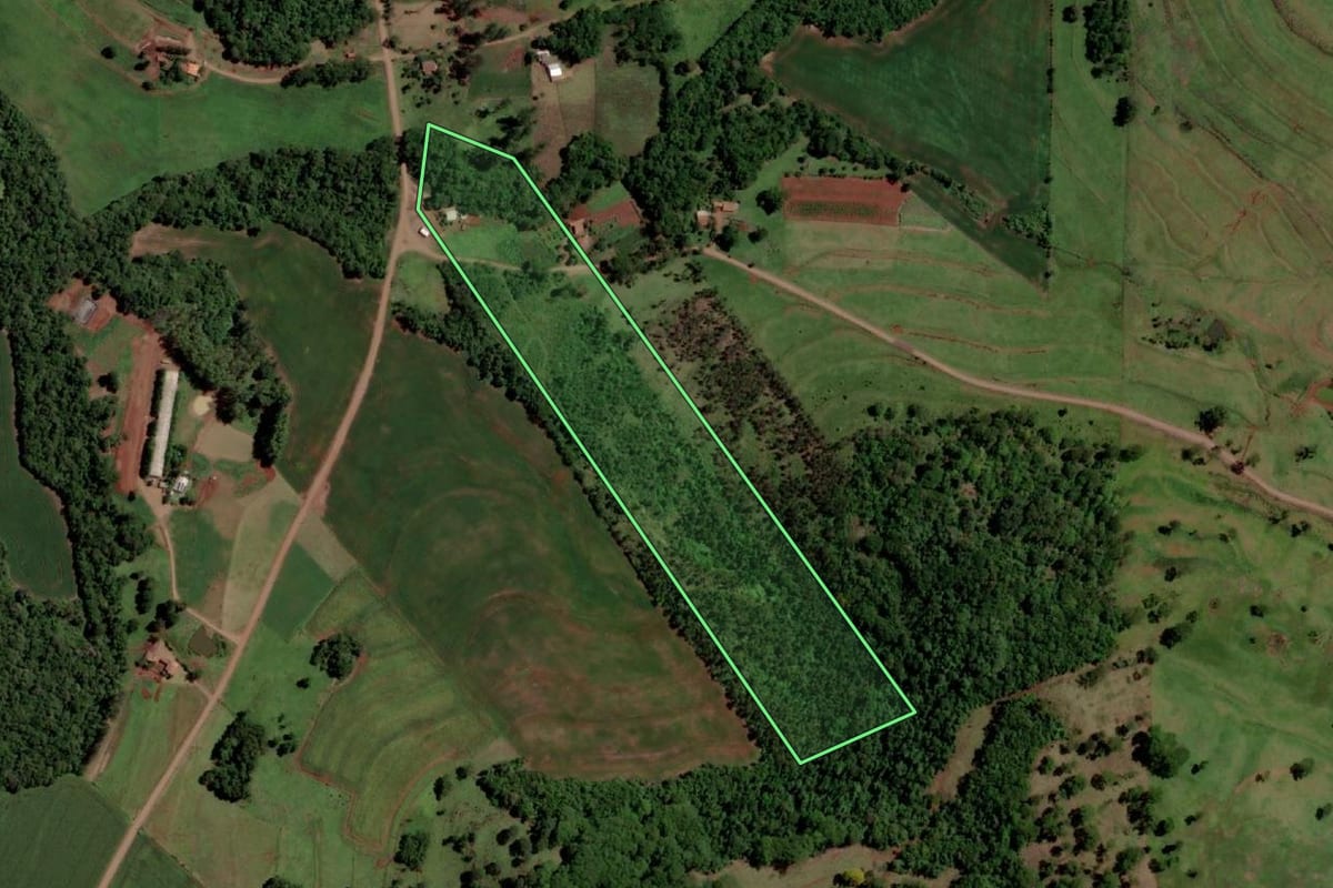 Imagem de satélite do imóvel rural em São José das Palmeiras (PR), com o contorno declarado no CAR desenhado por cima.