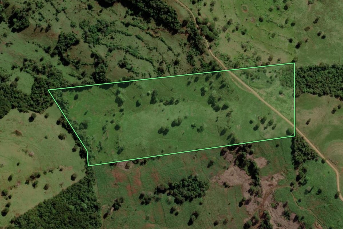 Imagem de satélite do imóvel rural em São José das Palmeiras (PR), com o contorno declarado no CAR desenhado por cima.