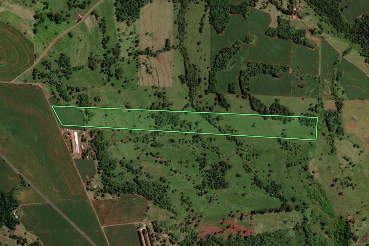 Imagem de satélite do imóvel rural em São José das Palmeiras (PR), com o contorno declarado no CAR desenhado por cima.