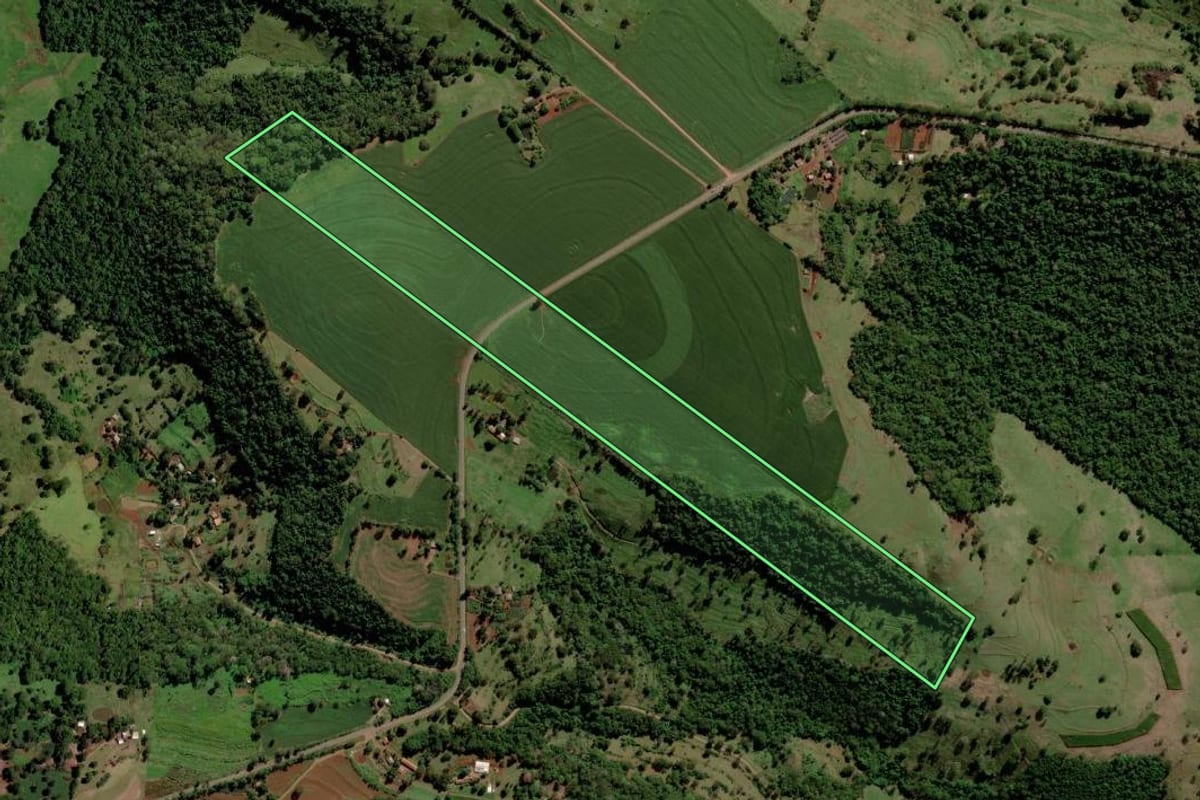Imagem de satélite do imóvel rural em São José das Palmeiras (PR), com o contorno declarado no CAR desenhado por cima.