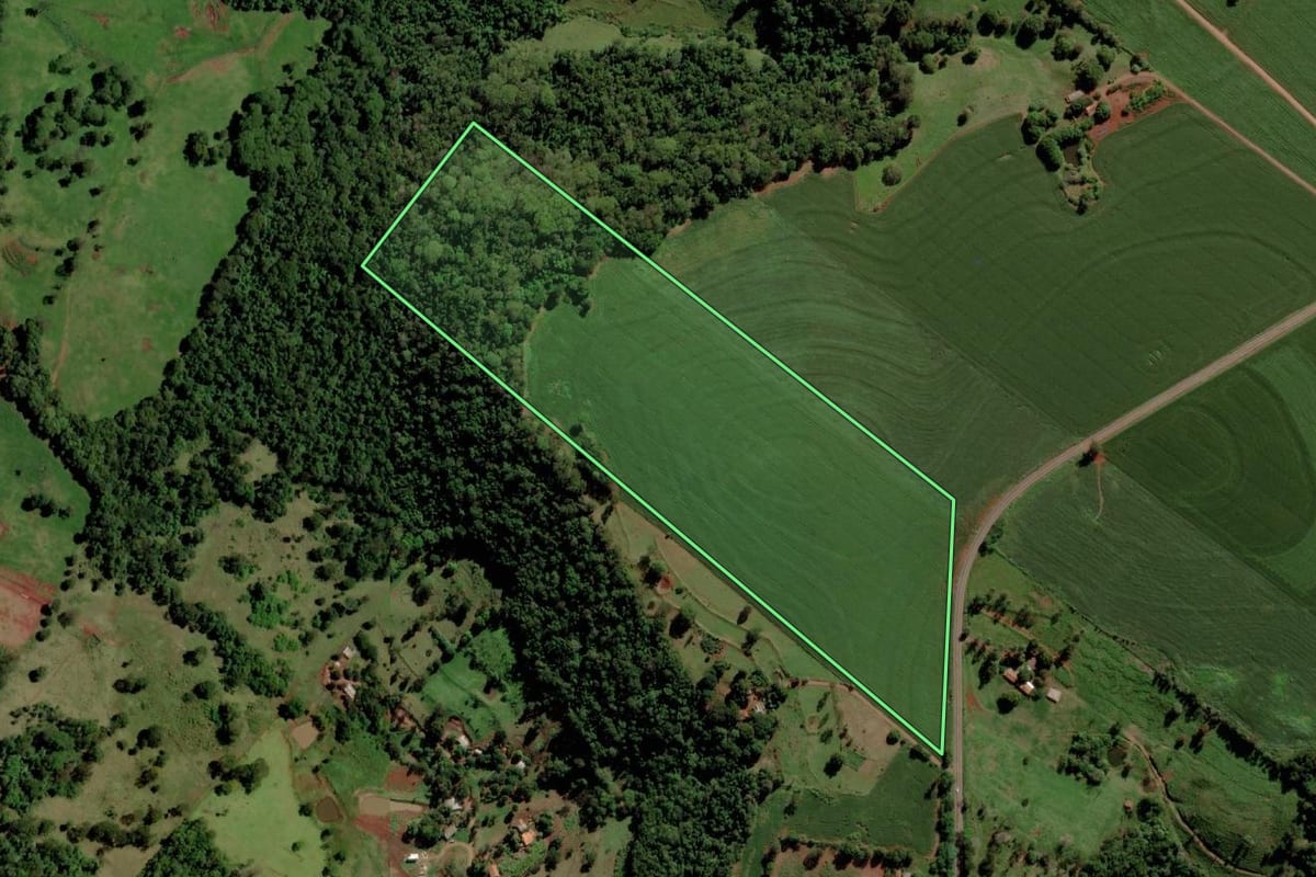 Imagem de satélite do imóvel rural em São José das Palmeiras (PR), com o contorno declarado no CAR desenhado por cima.