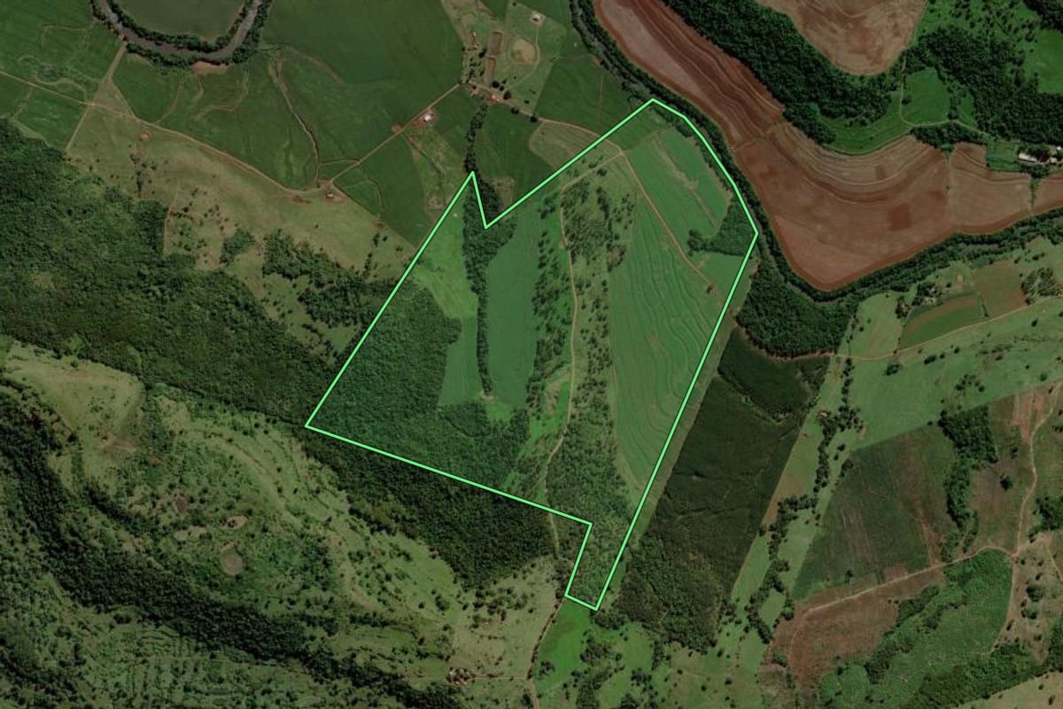 Imagem de satélite do imóvel rural em São José das Palmeiras (PR), com o contorno declarado no CAR desenhado por cima.