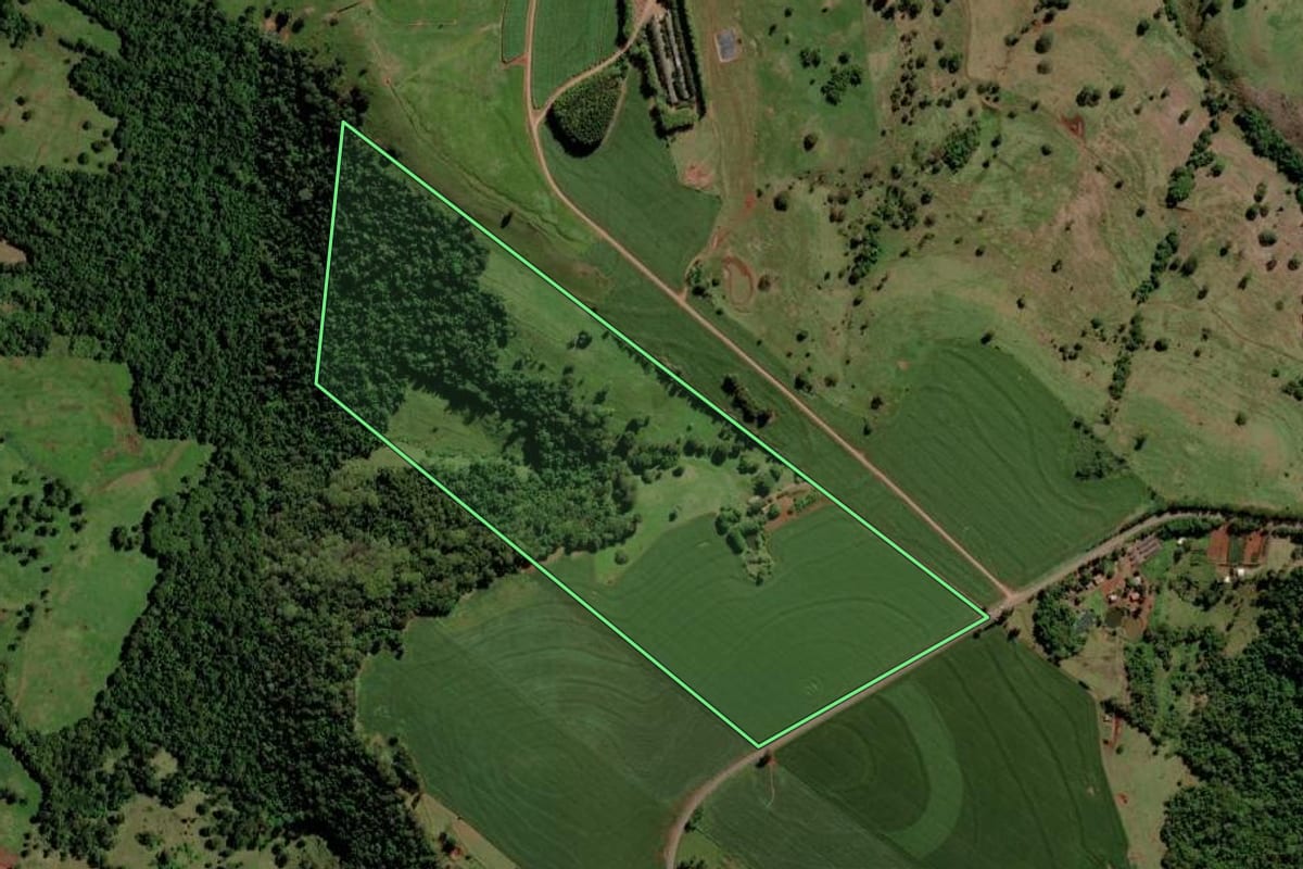 Imagem de satélite do imóvel rural em São José das Palmeiras (PR), com o contorno declarado no CAR desenhado por cima.