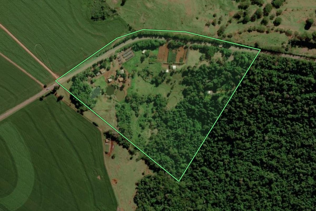 Imagem de satélite do imóvel rural em São José das Palmeiras (PR), com o contorno declarado no CAR desenhado por cima.