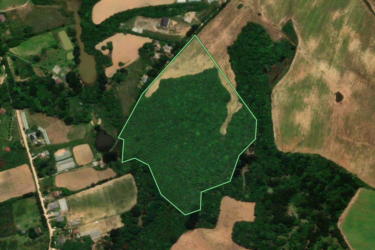 Imagem de satélite do imóvel rural em São José dos Pinhais (PR), com o contorno declarado no CAR desenhado por cima.