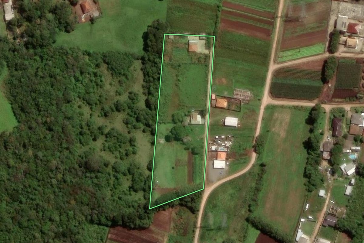 Imagem de satélite do imóvel rural em São José dos Pinhais (PR), com o contorno declarado no CAR desenhado por cima.