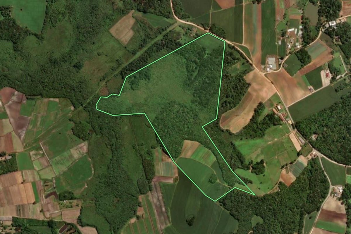 Imagem de satélite do imóvel rural em São José dos Pinhais (PR), com o contorno declarado no CAR desenhado por cima.
