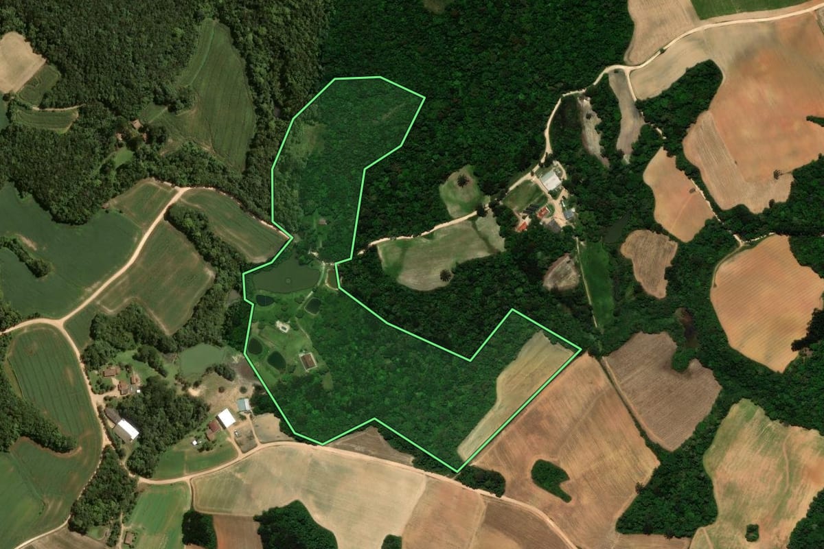 Imagem de satélite do imóvel rural em São José dos Pinhais (PR), com o contorno declarado no CAR desenhado por cima.