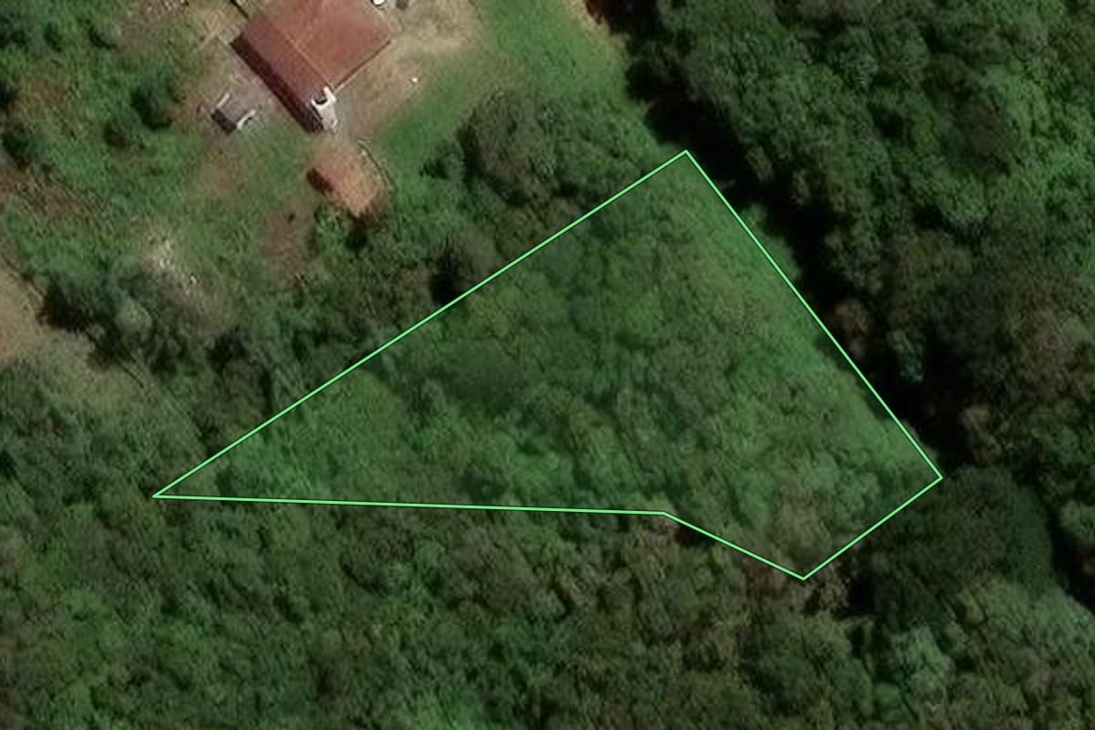 Imagem de satélite do imóvel rural em São José dos Pinhais (PR), com o contorno declarado no CAR desenhado por cima.