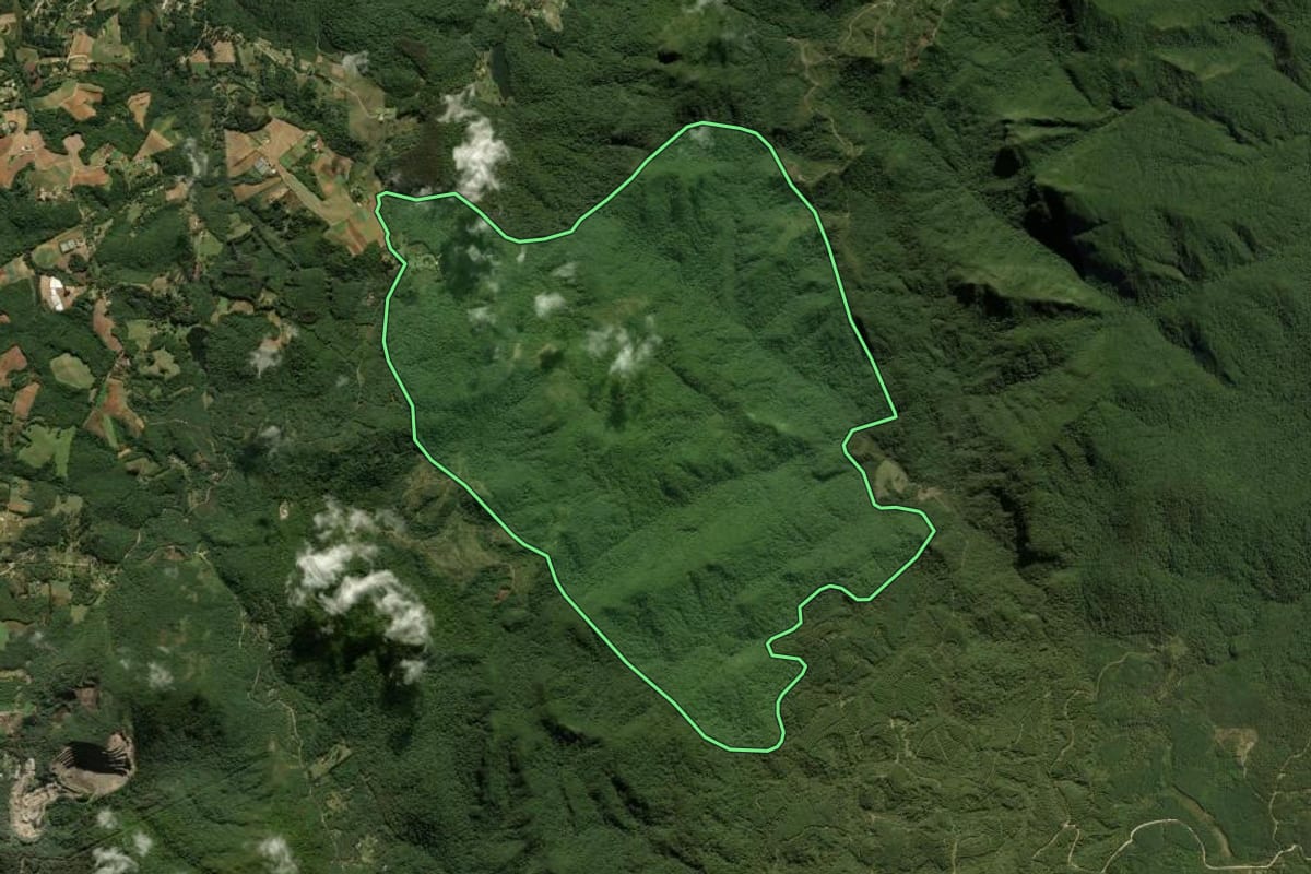 Imagem de satélite do imóvel rural em São José dos Pinhais (PR), com o contorno declarado no CAR desenhado por cima.