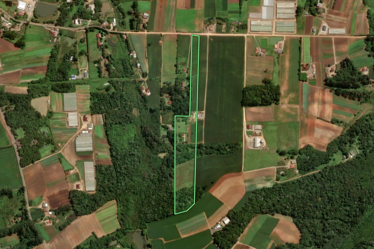 Imagem de satélite do imóvel rural em São José dos Pinhais (PR), com o contorno declarado no CAR desenhado por cima.
