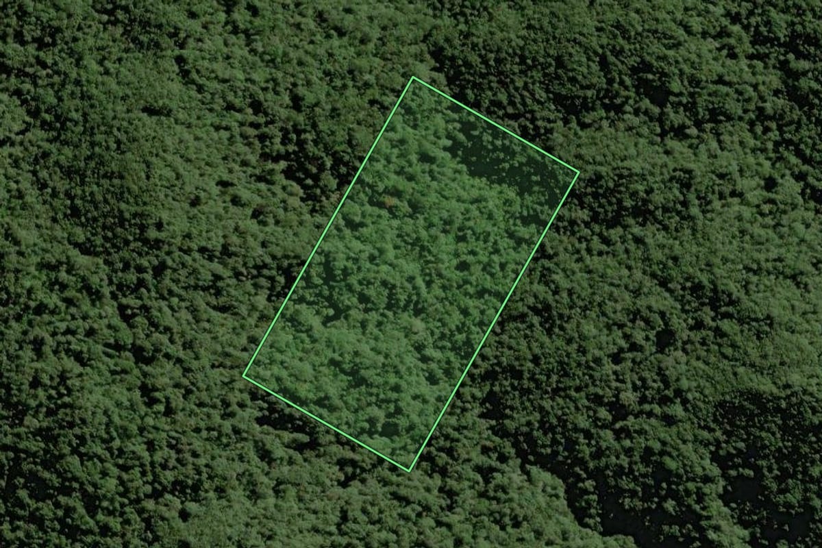Imagem de satélite do imóvel rural em São José dos Pinhais (PR), com o contorno declarado no CAR desenhado por cima.