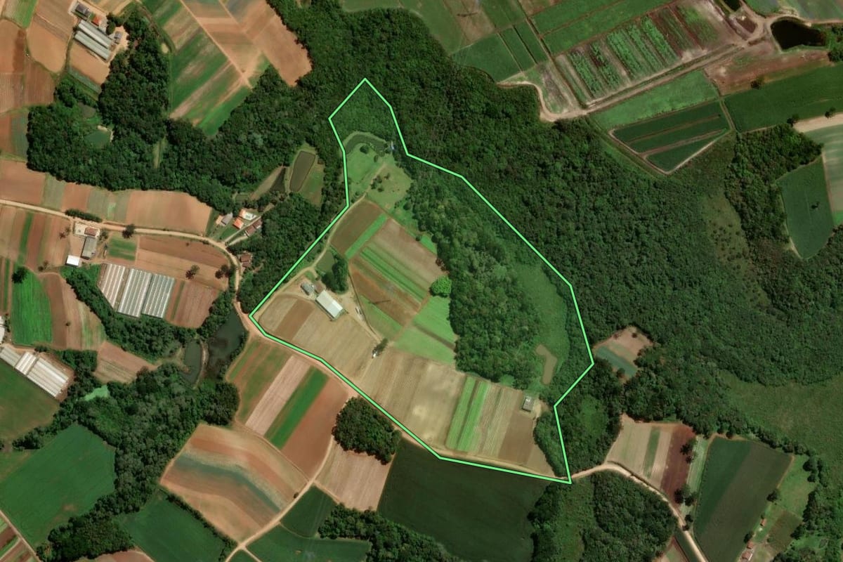 Imagem de satélite do imóvel rural em São José dos Pinhais (PR), com o contorno declarado no CAR desenhado por cima.
