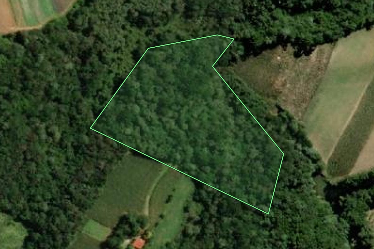 Imagem de satélite do imóvel rural em São José dos Pinhais (PR), com o contorno declarado no CAR desenhado por cima.