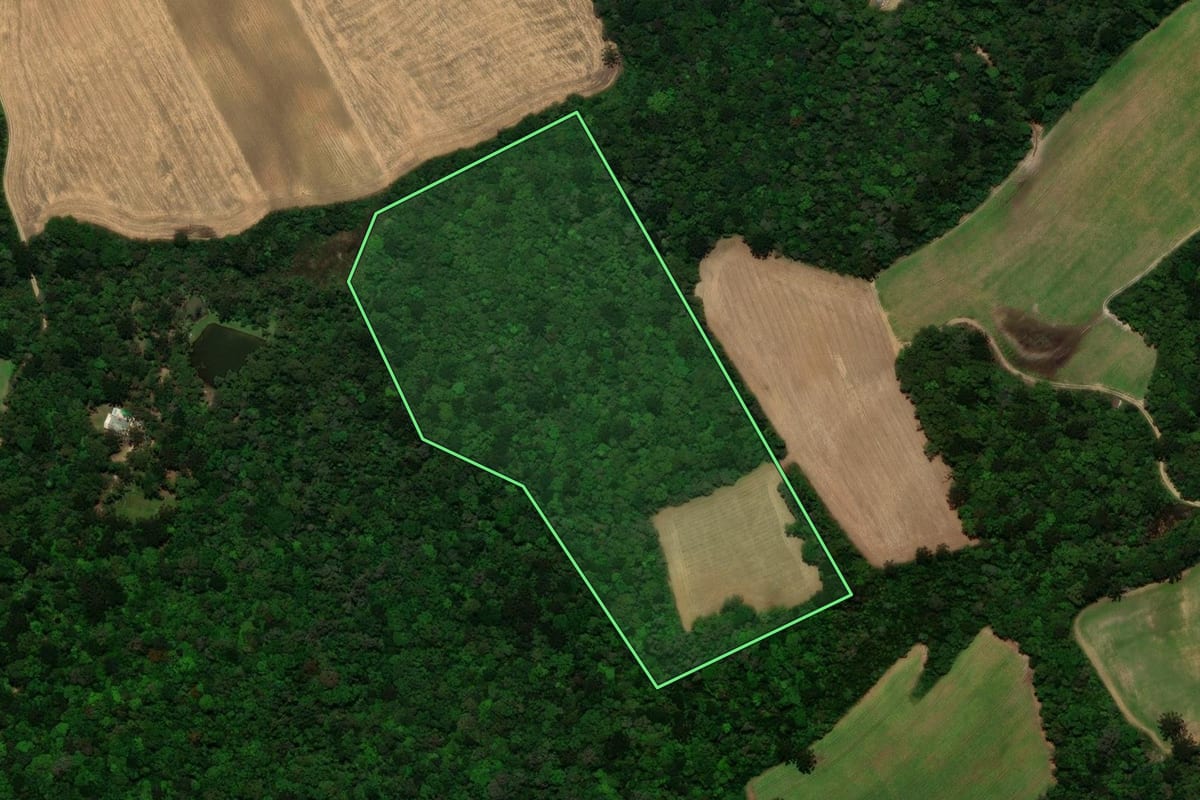 Imagem de satélite do imóvel rural em São José dos Pinhais (PR), com o contorno declarado no CAR desenhado por cima.