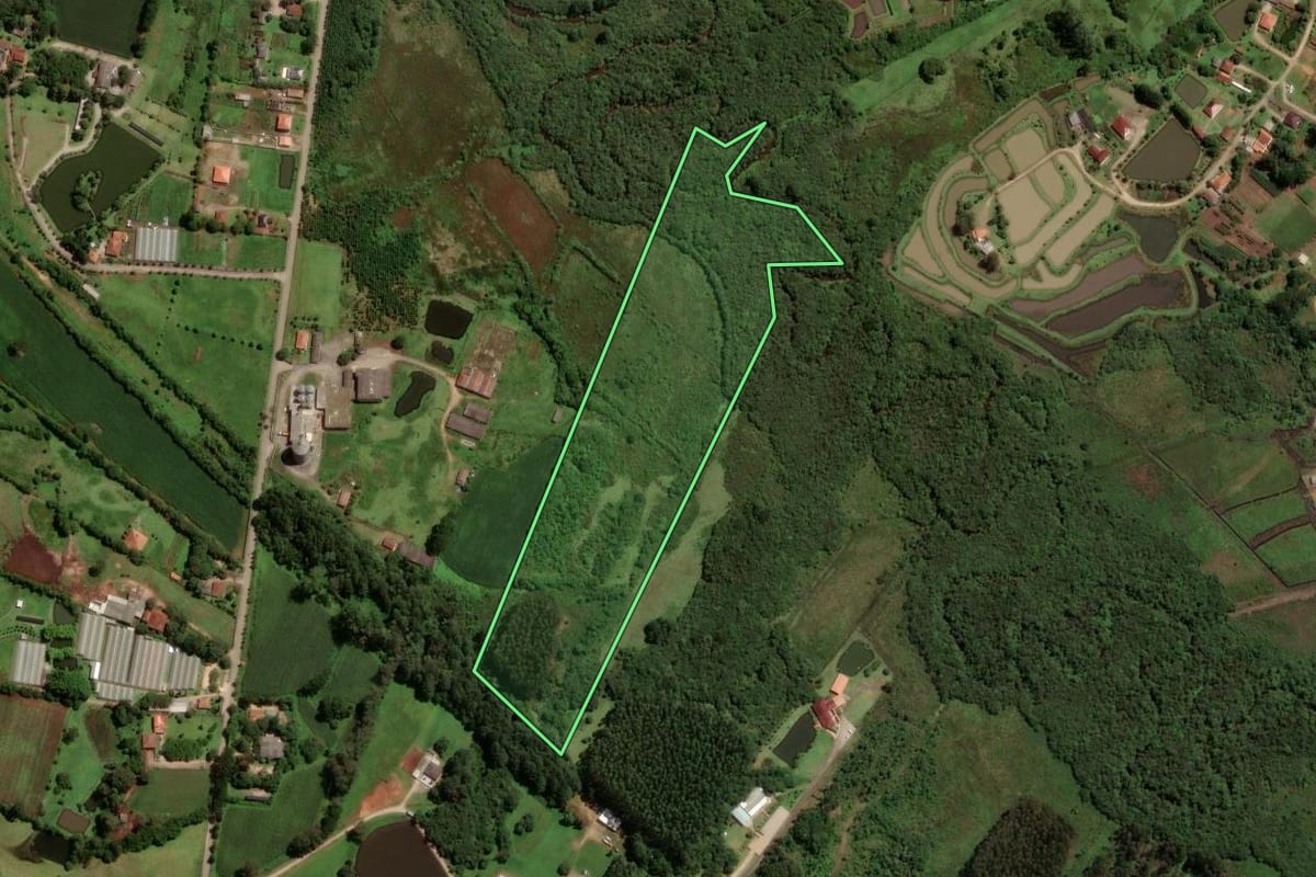 Imagem de satélite do imóvel rural em São José dos Pinhais (PR), com o contorno declarado no CAR desenhado por cima.