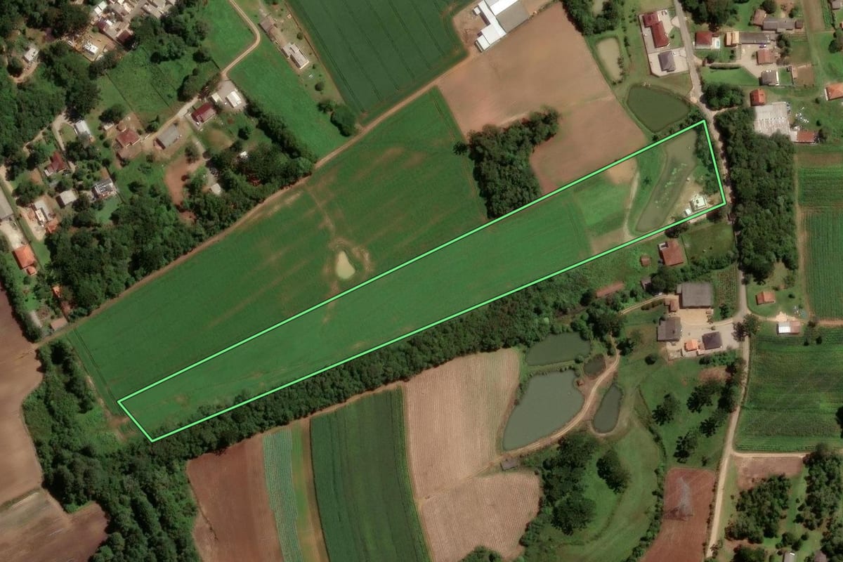 Imagem de satélite do imóvel rural em São José dos Pinhais (PR), com o contorno declarado no CAR desenhado por cima.