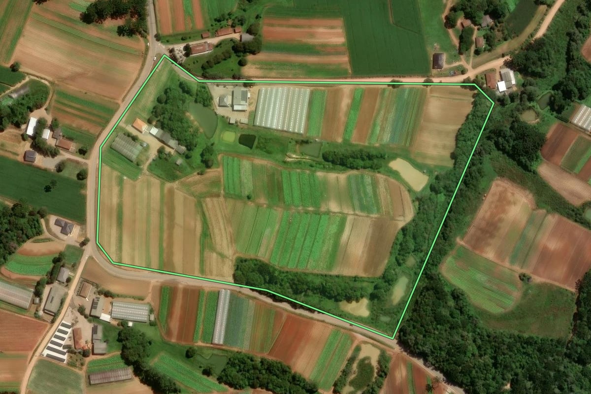 Imagem de satélite do imóvel rural em São José dos Pinhais (PR), com o contorno declarado no CAR desenhado por cima.