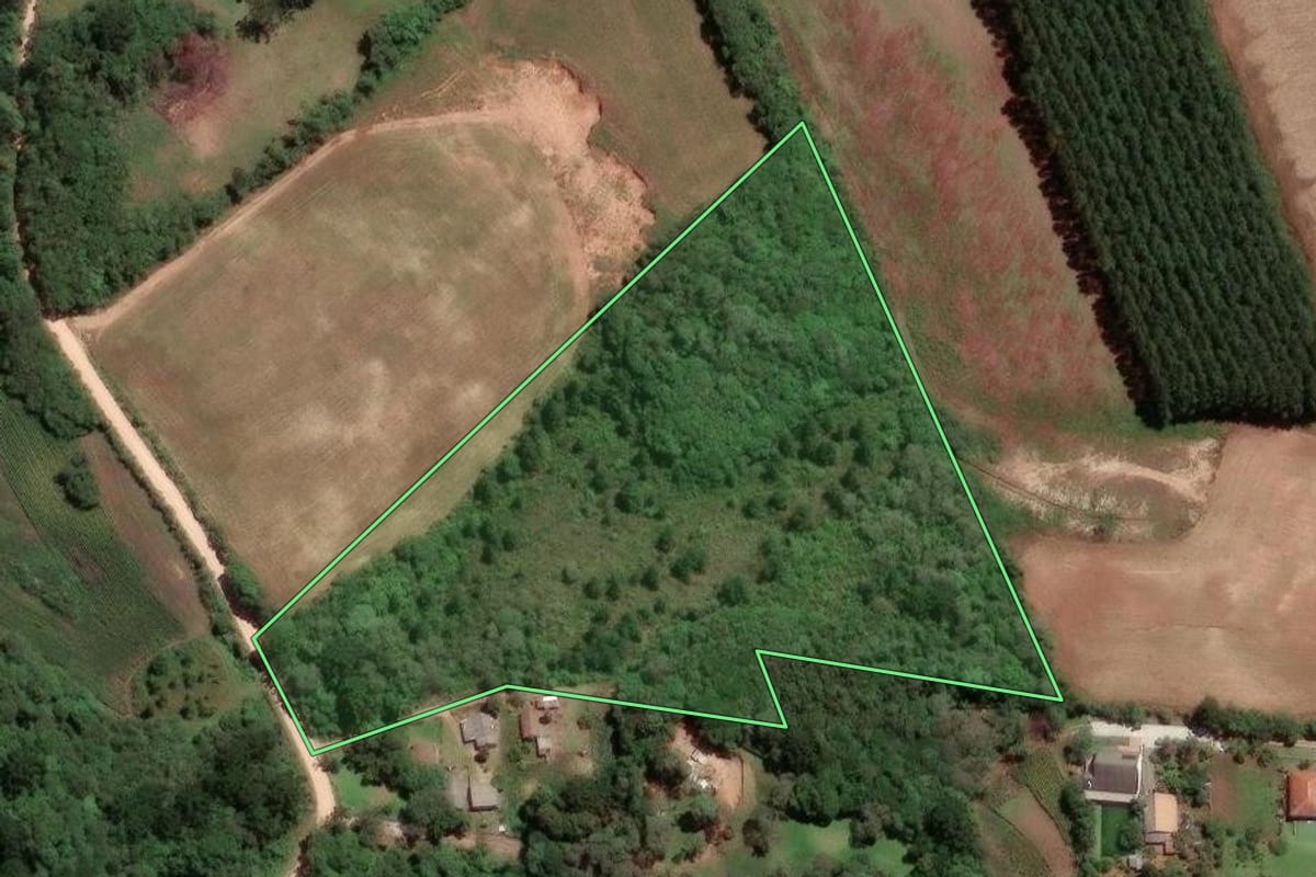 Imagem de satélite do imóvel rural em São José dos Pinhais (PR), com o contorno declarado no CAR desenhado por cima.