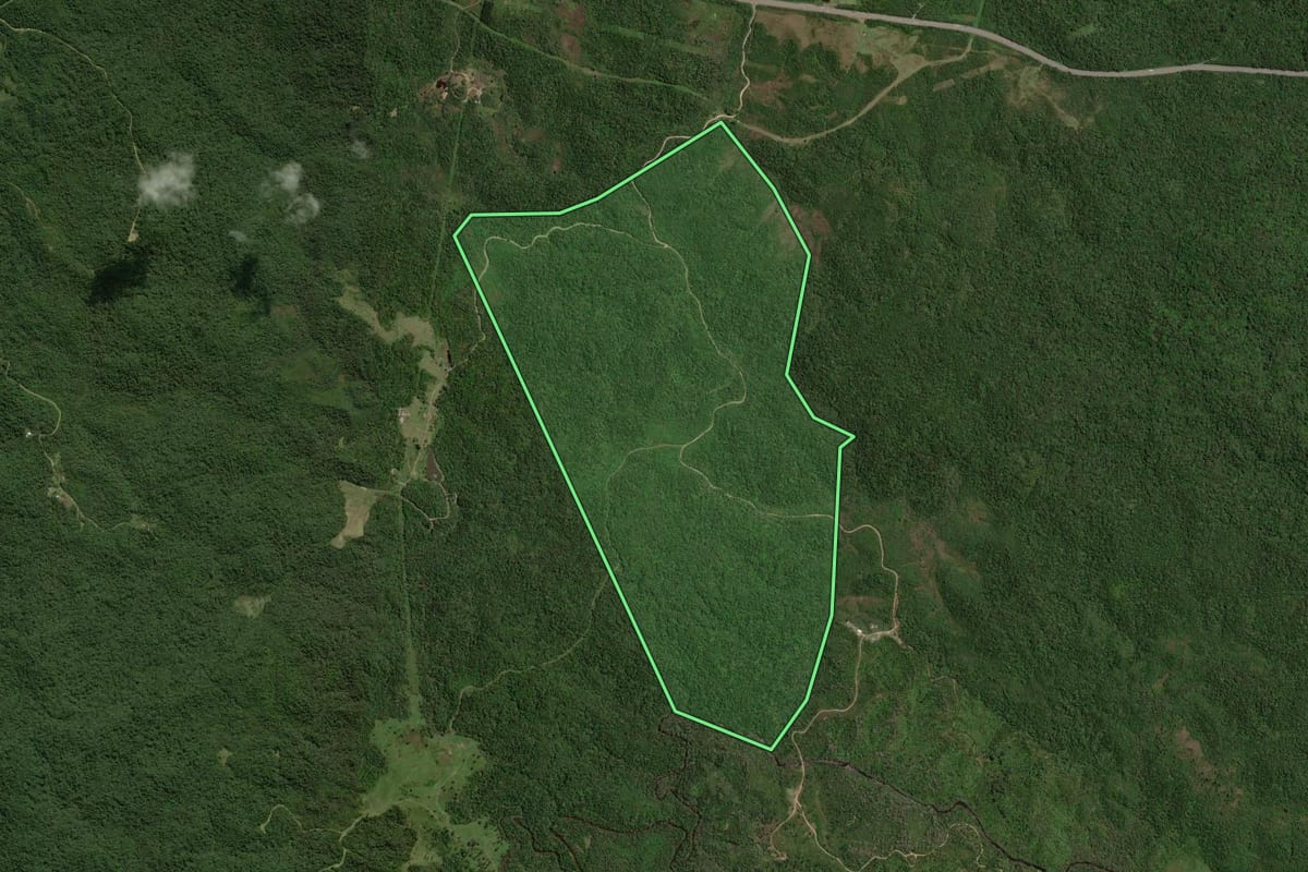 Imagem de satélite do imóvel rural em São José dos Pinhais (PR), com o contorno declarado no CAR desenhado por cima.