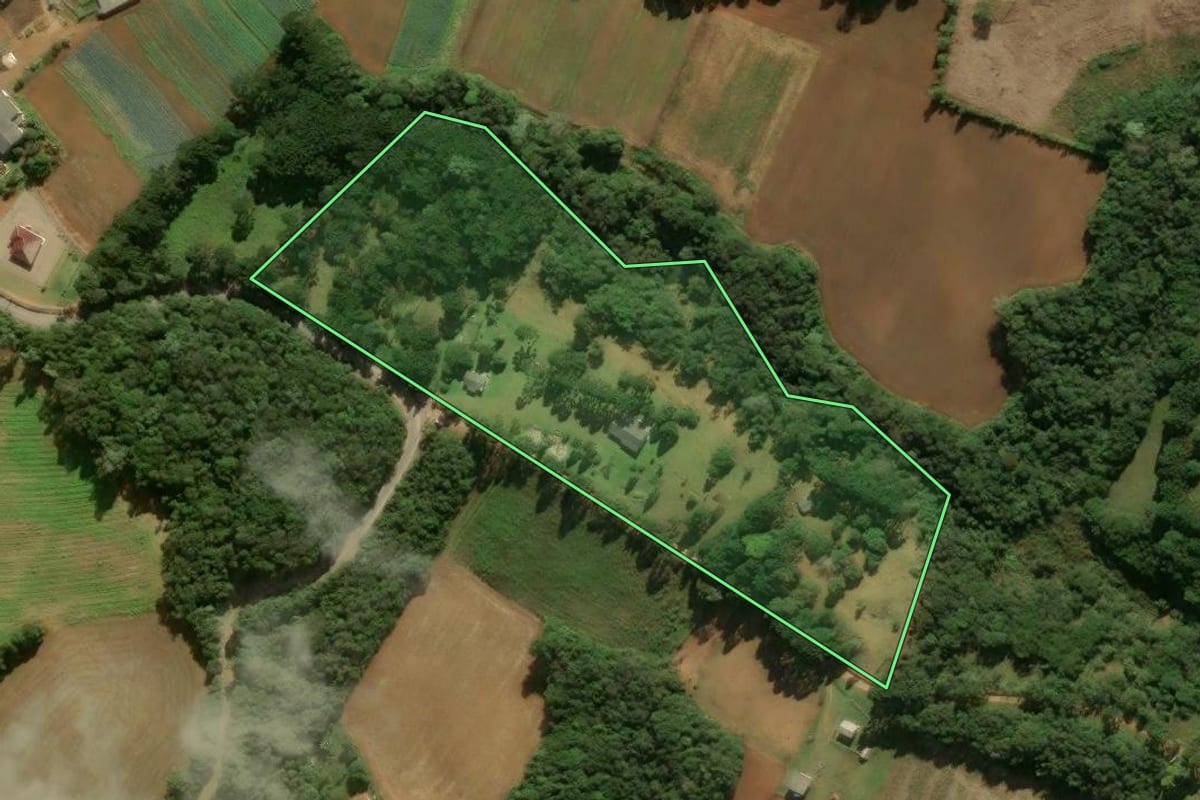 Imagem de satélite do imóvel rural em São José dos Pinhais (PR), com o contorno declarado no CAR desenhado por cima.
