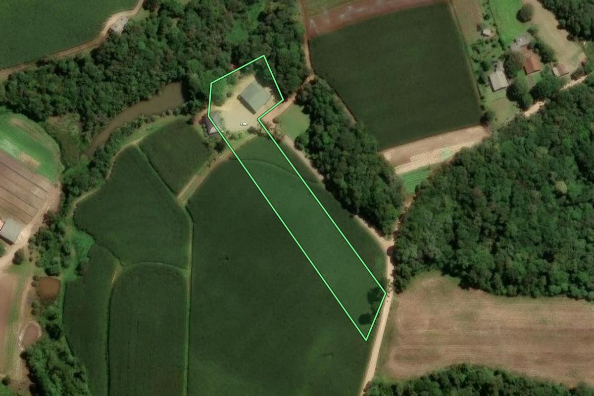 Imagem de satélite do imóvel rural em São José dos Pinhais (PR), com o contorno declarado no CAR desenhado por cima.