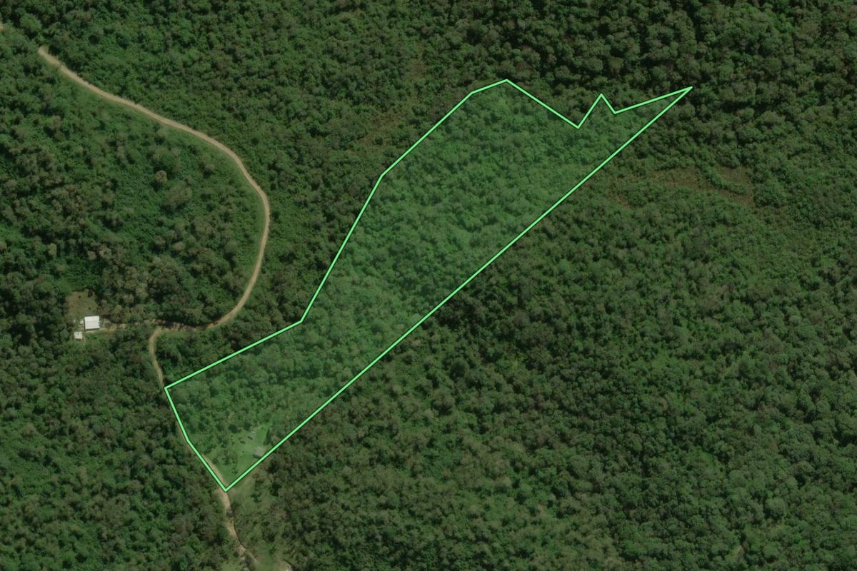 Imagem de satélite do imóvel rural em São José dos Pinhais (PR), com o contorno declarado no CAR desenhado por cima.