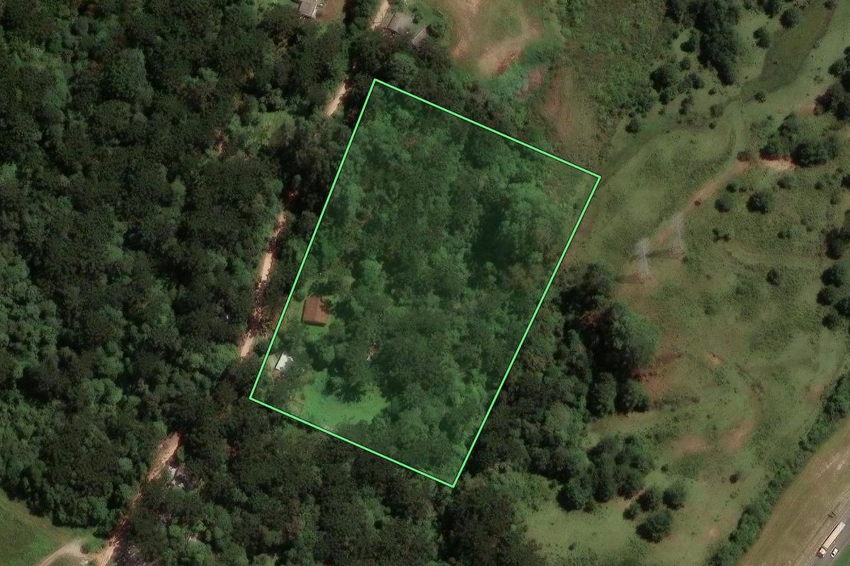 Imagem de satélite do imóvel rural em São José dos Pinhais (PR), com o contorno declarado no CAR desenhado por cima.