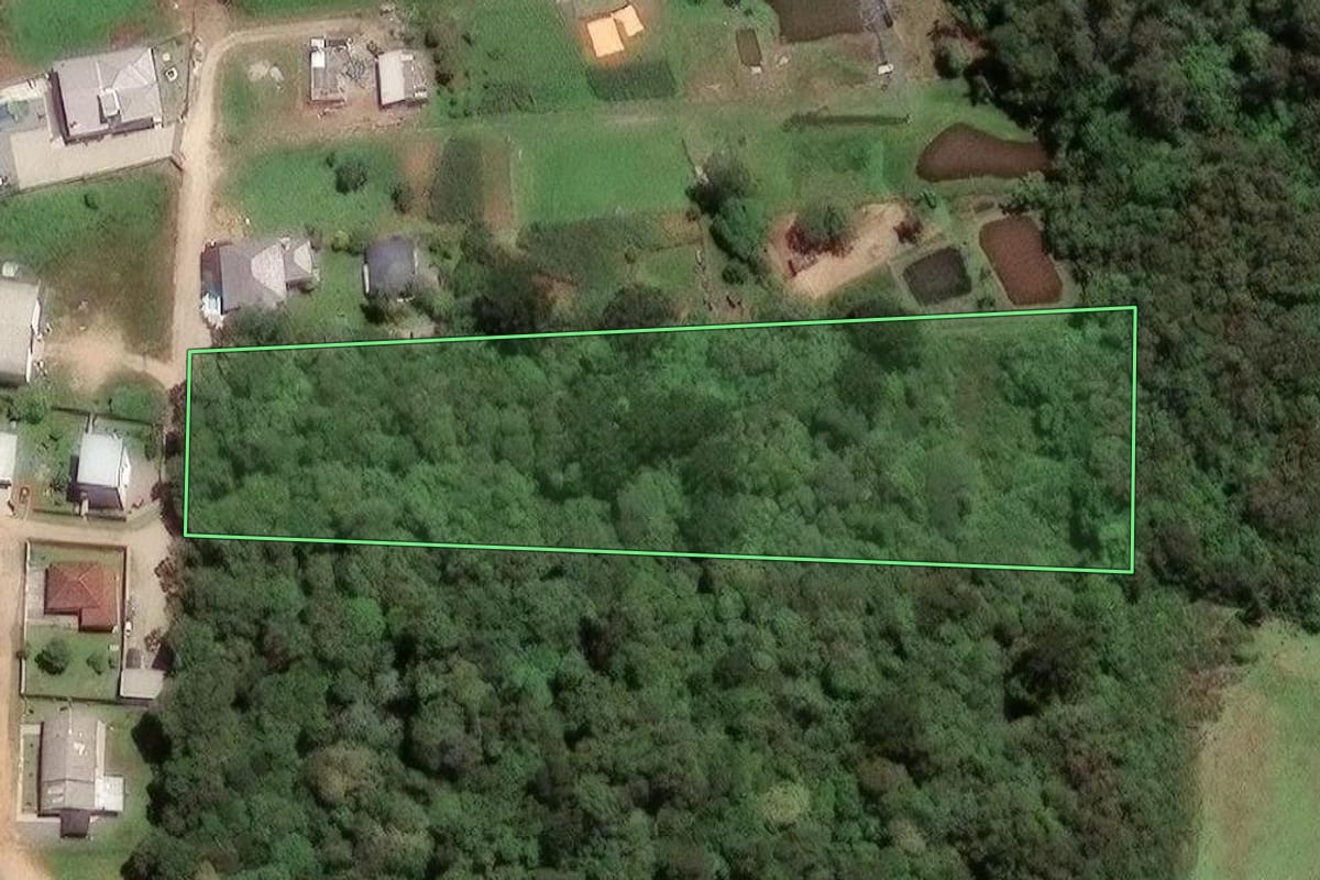 Imagem de satélite do imóvel rural em São José dos Pinhais (PR), com o contorno declarado no CAR desenhado por cima.