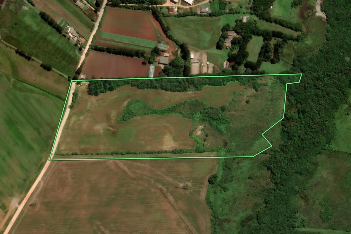 Imagem de satélite do imóvel rural em São José dos Pinhais (PR), com o contorno declarado no CAR desenhado por cima.