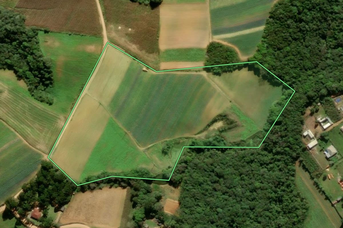 Imagem de satélite do imóvel rural em São José dos Pinhais (PR), com o contorno declarado no CAR desenhado por cima.