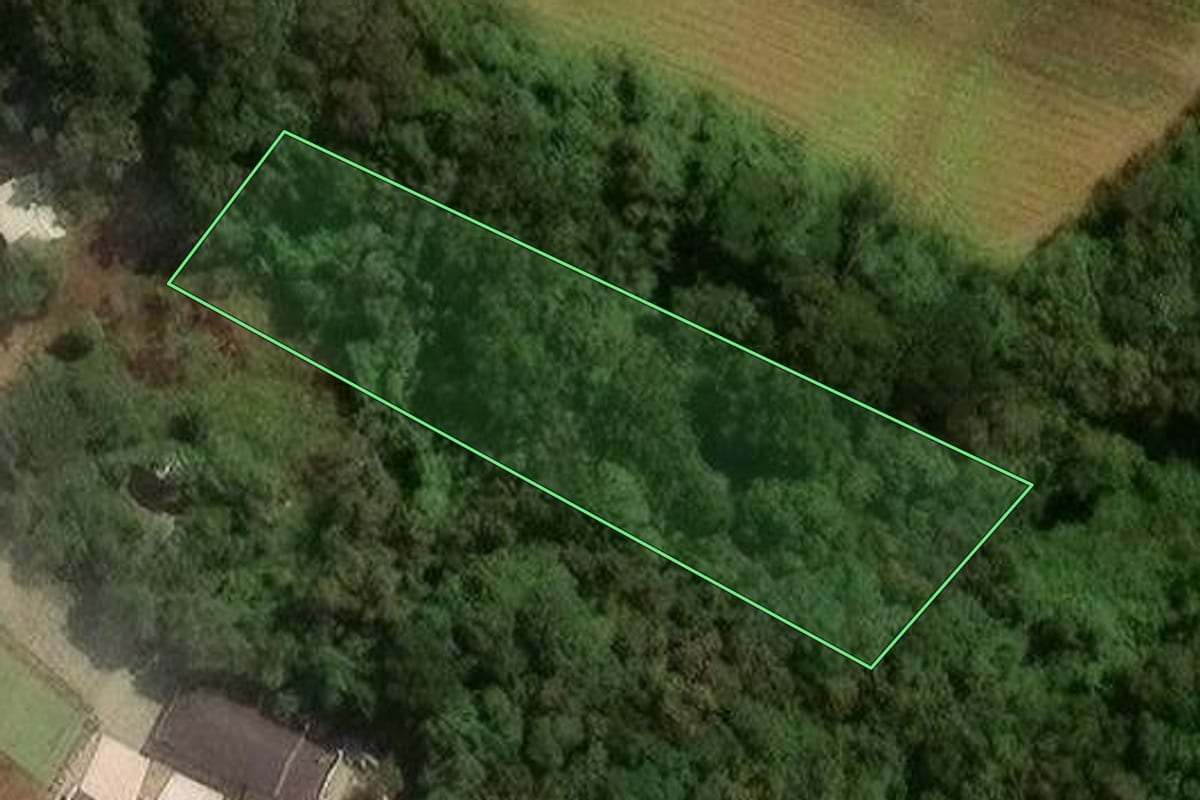 Imagem de satélite do imóvel rural em São José dos Pinhais (PR), com o contorno declarado no CAR desenhado por cima.