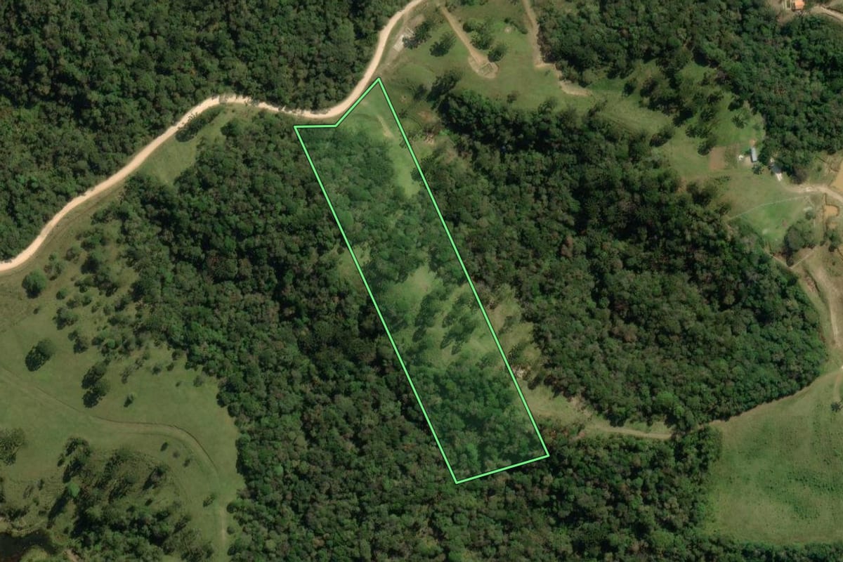 Imagem de satélite do imóvel rural em São José dos Pinhais (PR), com o contorno declarado no CAR desenhado por cima.