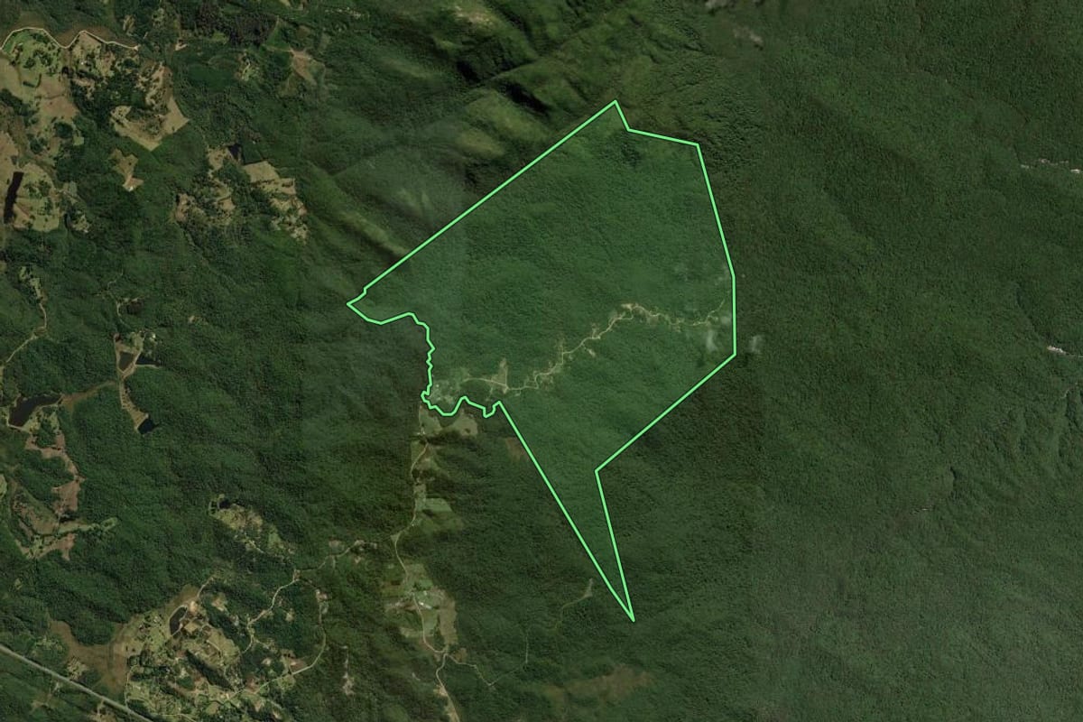 Imagem de satélite do imóvel rural em São José dos Pinhais (PR), com o contorno declarado no CAR desenhado por cima.