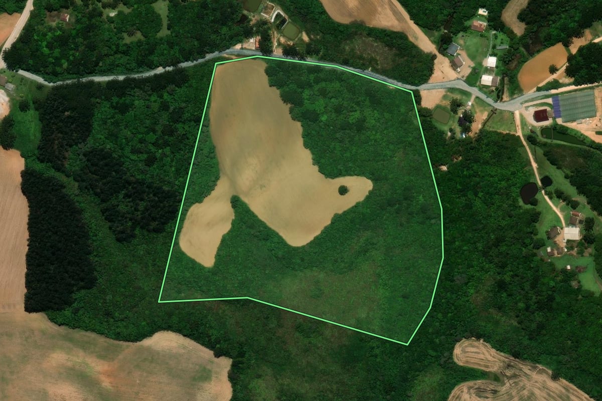 Imagem de satélite do imóvel rural em São José dos Pinhais (PR), com o contorno declarado no CAR desenhado por cima.