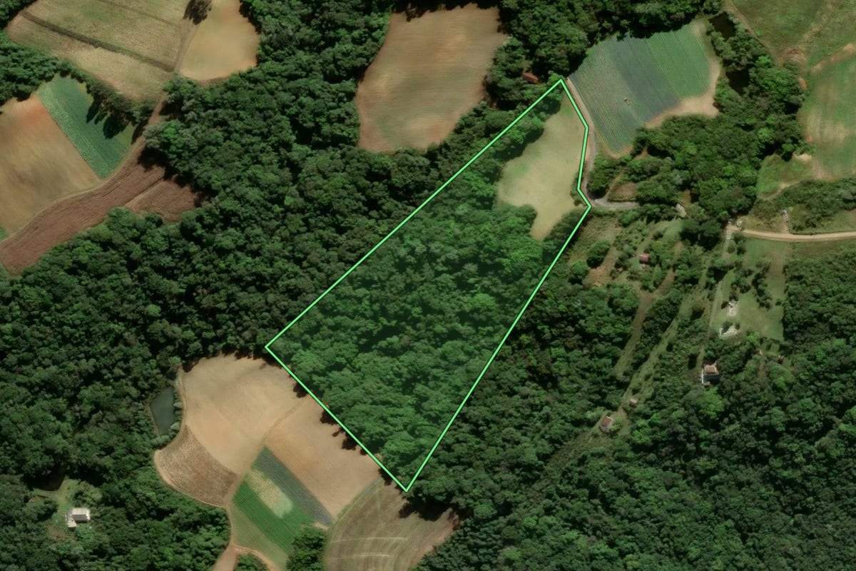 Imagem de satélite do imóvel rural em São José dos Pinhais (PR), com o contorno declarado no CAR desenhado por cima.