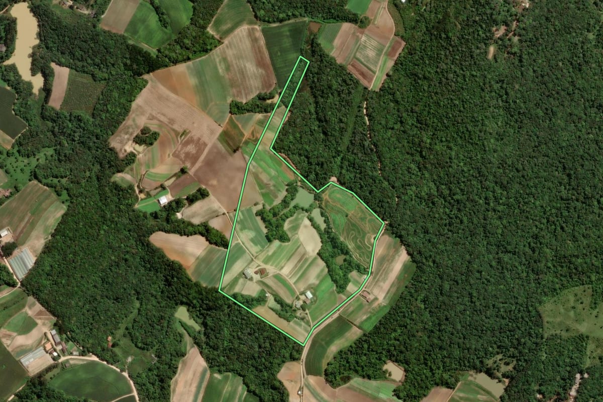 Imagem de satélite do imóvel rural em São José dos Pinhais (PR), com o contorno declarado no CAR desenhado por cima.
