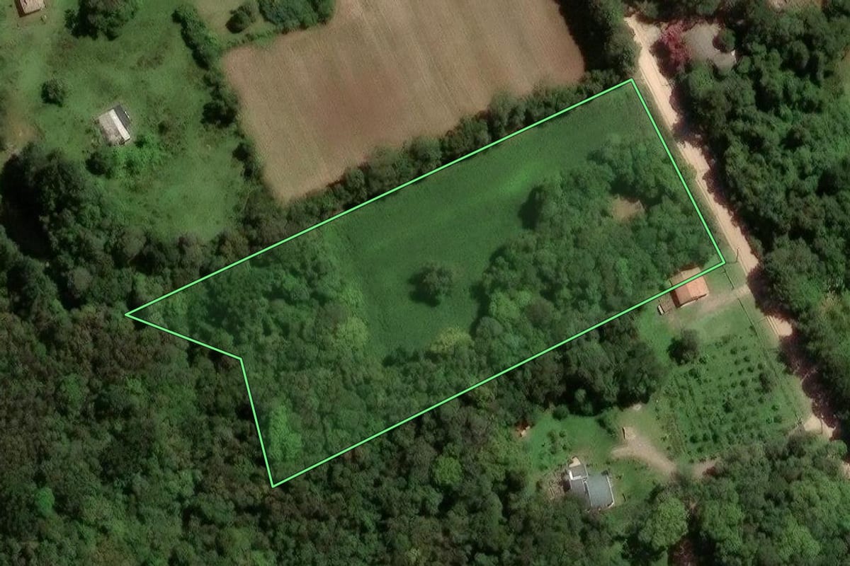 Imagem de satélite do imóvel rural em São José dos Pinhais (PR), com o contorno declarado no CAR desenhado por cima.