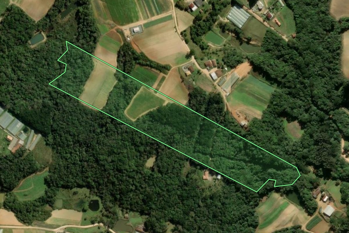 Imagem de satélite do imóvel rural em São José dos Pinhais (PR), com o contorno declarado no CAR desenhado por cima.