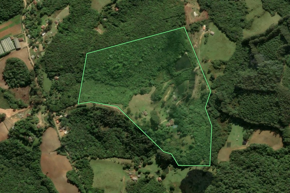 Imagem de satélite do imóvel rural em São José dos Pinhais (PR), com o contorno declarado no CAR desenhado por cima.