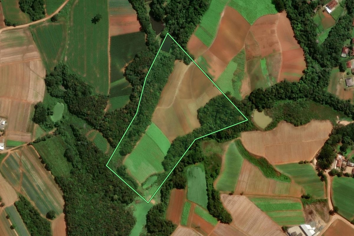 Imagem de satélite do imóvel rural em São José dos Pinhais (PR), com o contorno declarado no CAR desenhado por cima.