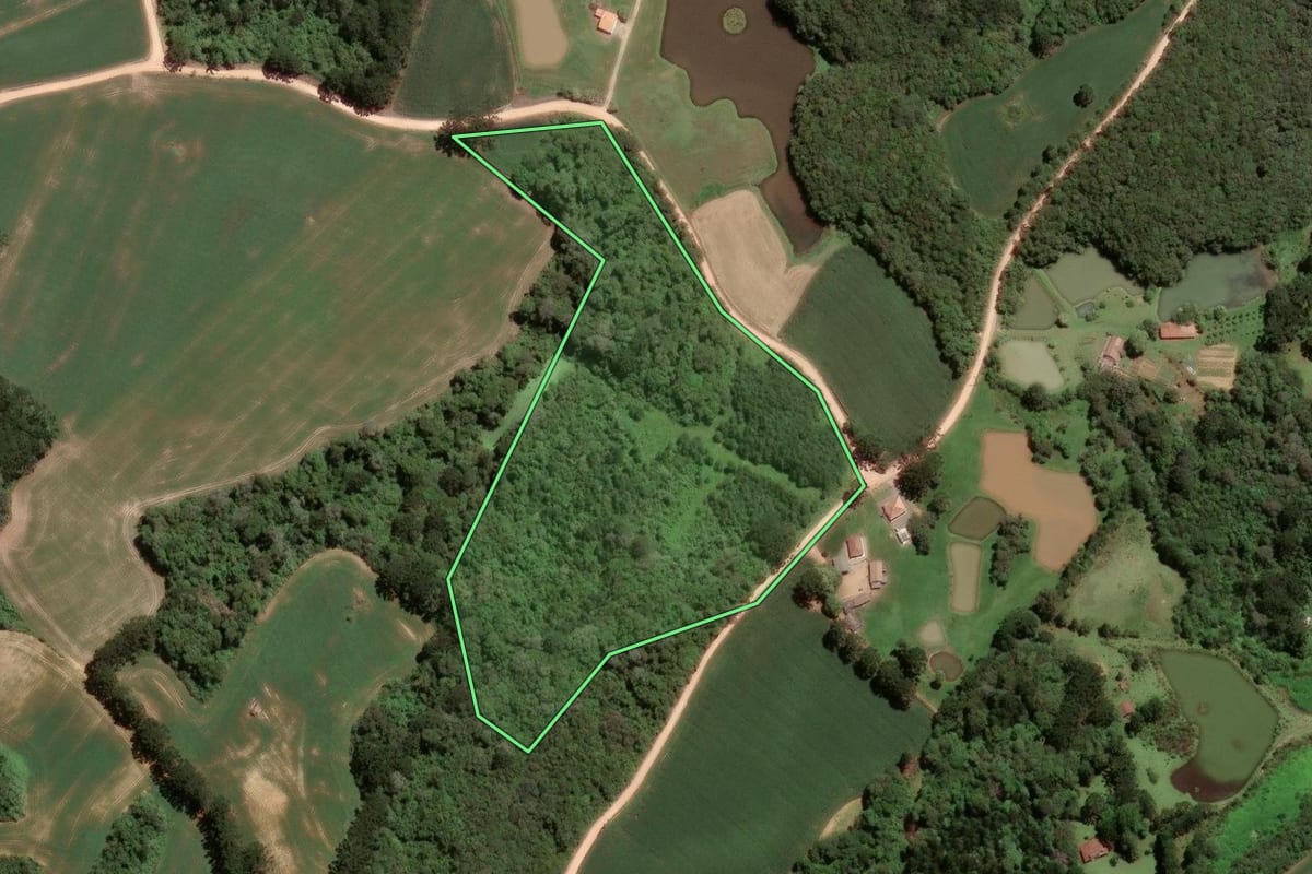 Imagem de satélite do imóvel rural em São José dos Pinhais (PR), com o contorno declarado no CAR desenhado por cima.